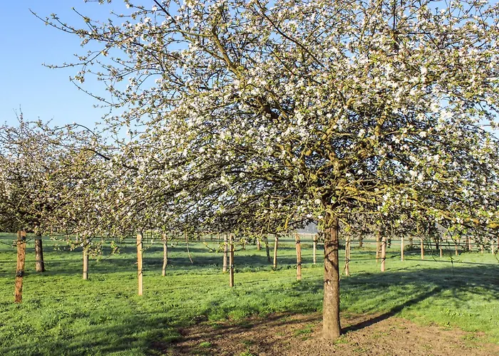 Сasa de vacaciones La Prairie By Interhome *